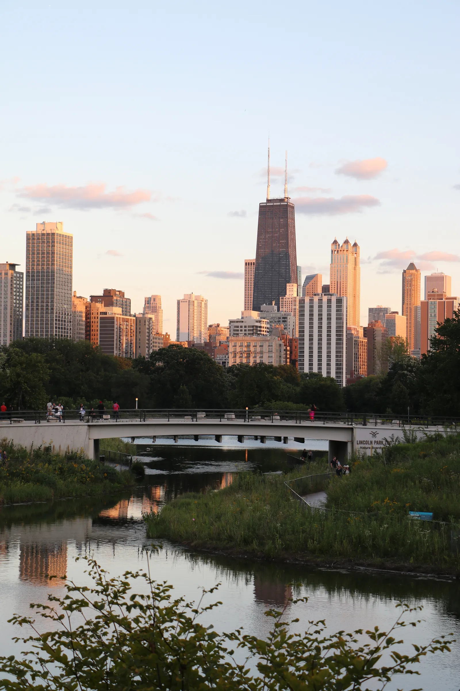 A Night of Elegance at Café Brauer in Chicago — event photo 2