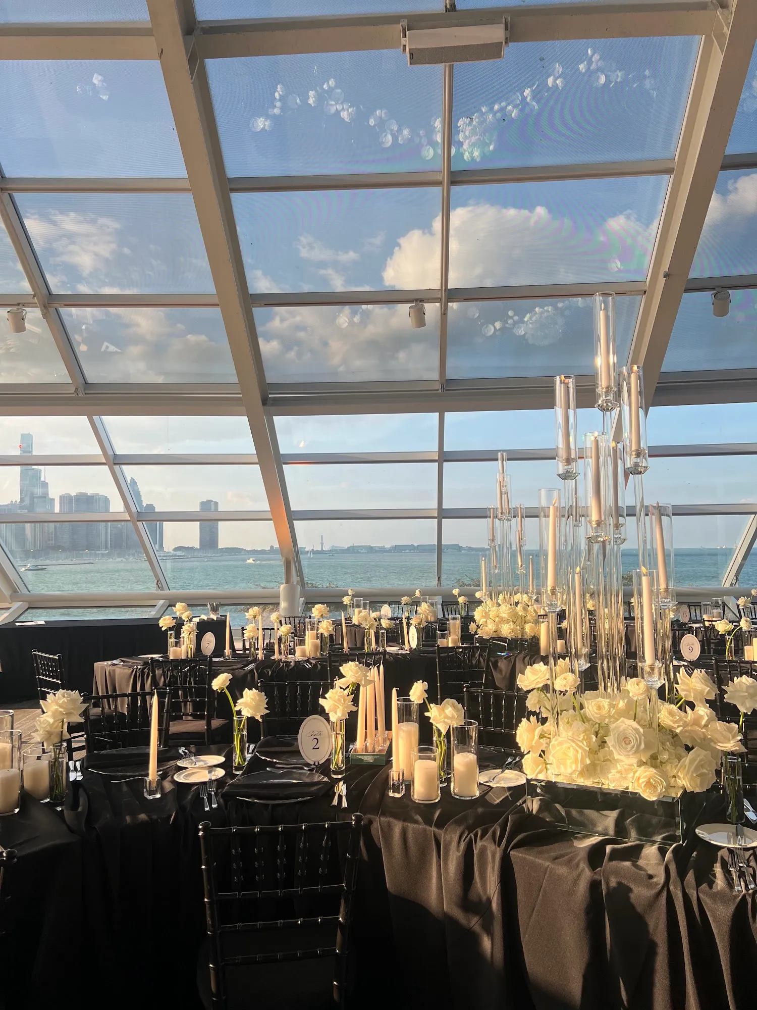 Wedding at Adler Planetarium, Chicago — event photo 2