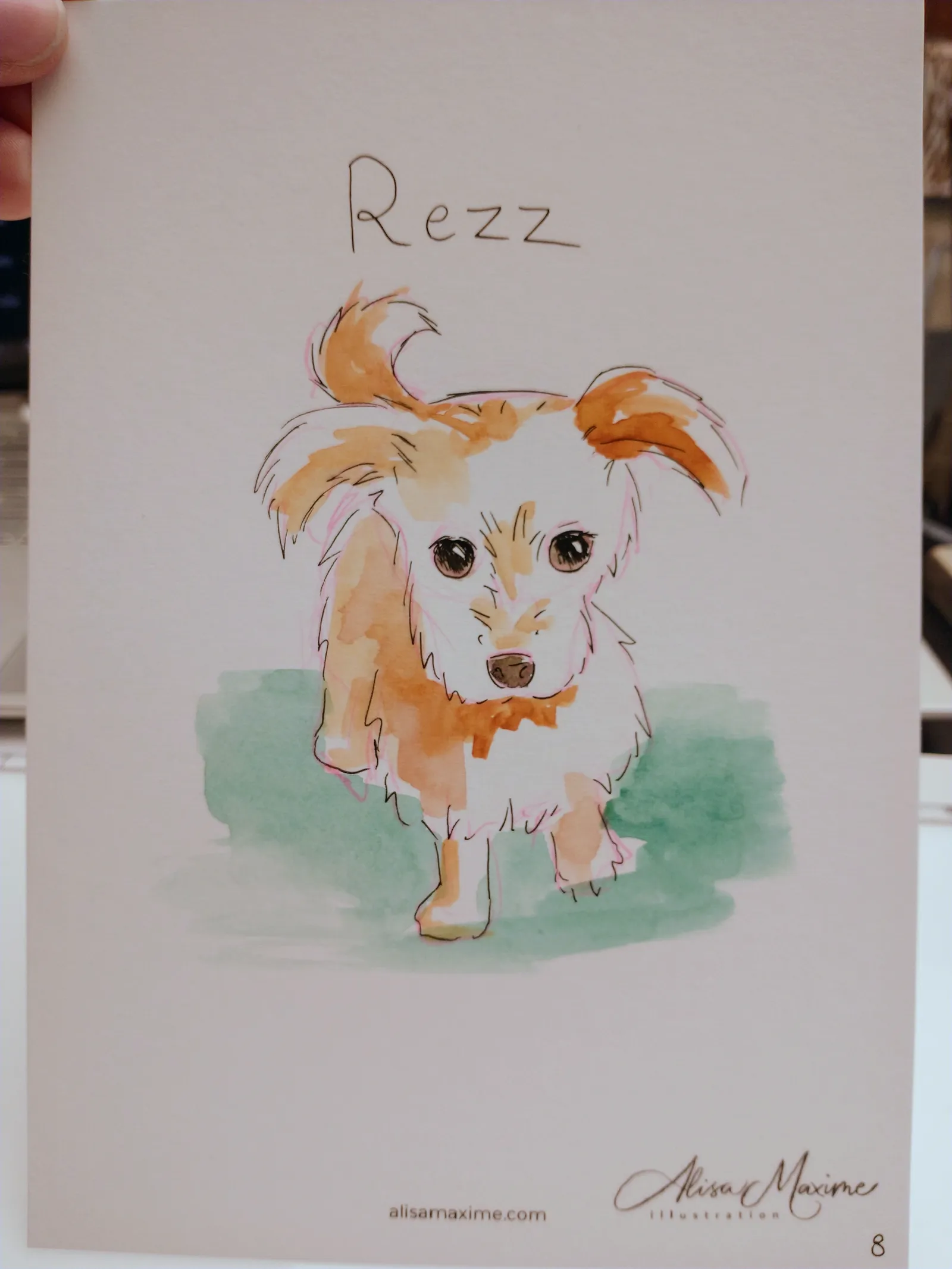 Live fashion sketch 9 from Pet Sketching Event in Houston
