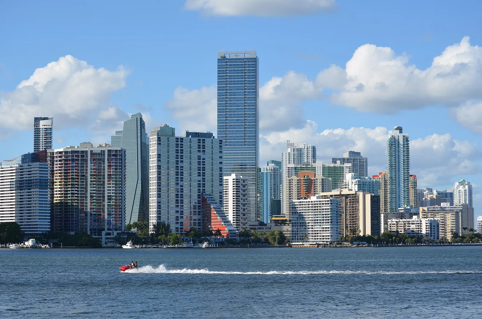 The Miami skyline